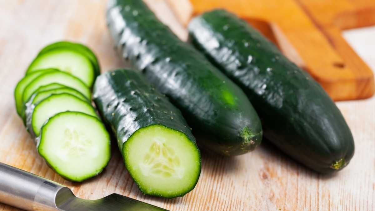 Image Concombre vert